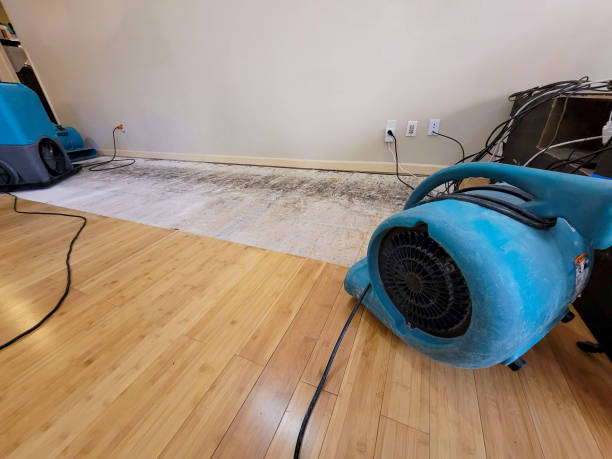 Professional Emergency Water Damage technician working in Old Washington, OH